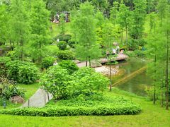 -云溪植物园
