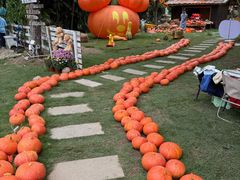 -HERRE·FARM 赫尔露营农场·团建聚会包场