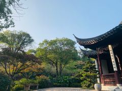 -苏州上方山国家森林公园