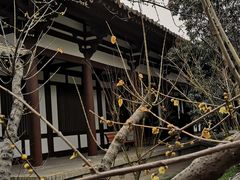 -西安青龙寺遗址景区