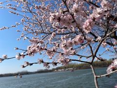 -大兴滨河森林公园