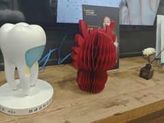 -Dr.Z dental仁康种植矫正中心