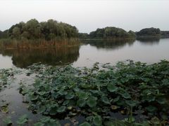 -上海市保健医疗中心(华东疗养院)
