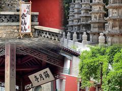 -泰山风景名胜区-普照寺