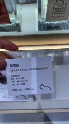 -香遇沙龙香水·调香·团建