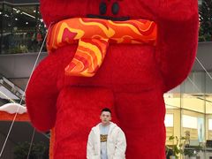 -合景·悠方(成都店)