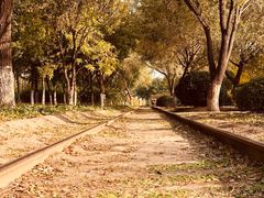 -永定河休闲森林公园