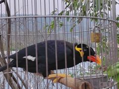 -乐和乐都主题乐园