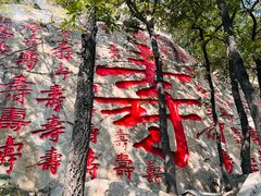 -沂蒙山旅游区龟蒙景区