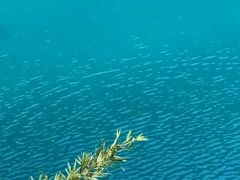 -会稽山峡洞漂流-上青古道