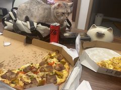 -达美乐比萨(井亭路店)
