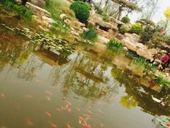 -武清南湖绿博园