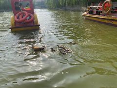 -南翠屏公园