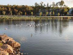 -长春市南湖公园