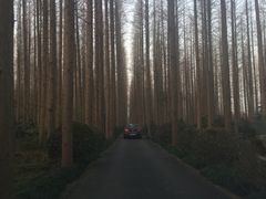 -上海怡沁园度假酒店