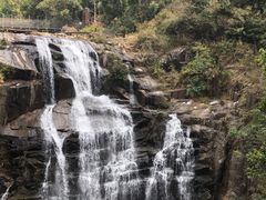 -海南热带雨林国家公园吊罗山景区