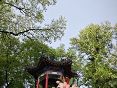 -莲湖公园