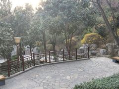 -西安曲江寒窑遗址公园
