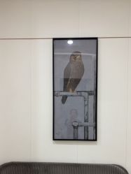 -AIST爱思特医疗美容医院