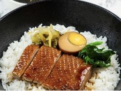 -MR鹅外