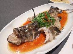 清蒸青斑-悦秀·高级粤菜
