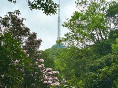 -梧桐山风景名胜区