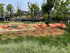 -武汉动物园