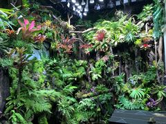 -漫步水族(金源珠宝古玩城店)