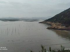 -北岐滩涂