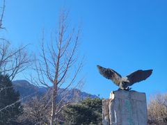 -北京鹫峰国家森林公园