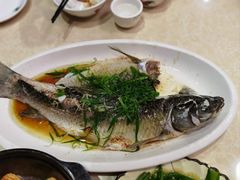 -开心农家菜