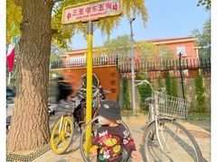 -三里屯东五街银杏大道
