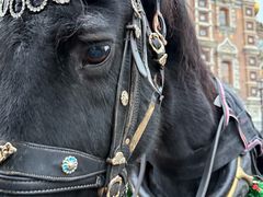 -滴血救世主教堂