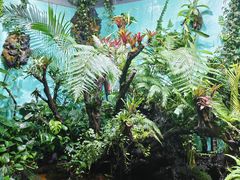 -太平洋海底世界博览馆·展览厅