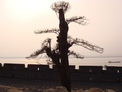 -汴河街