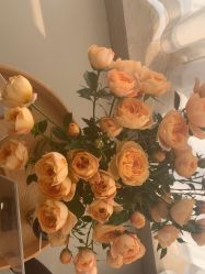 -JNK皮肤管理中心