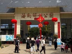 -临高角