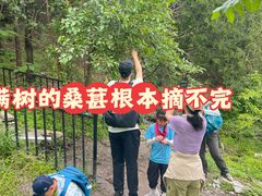 -定都阁