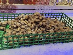 -比尔森韩式烤肉自助(绿园店)