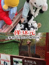 -萌宠亲子动物乐园(槐房万达店)