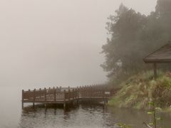 -海南热带雨林国家公园吊罗山景区