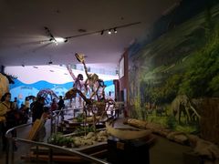 -陕西自然博物馆