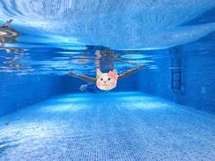 -嘻游纪亲子游泳中心(天佑城店)