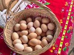 -马陆小张葡萄园农家乐