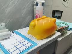 -半岛宠物医院24小时(白果林店)