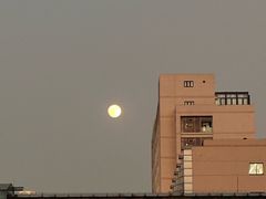 -上汽荣威体验中心(徐汇东安路店)