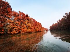 -上海海湾国家森林公园