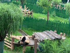 -沈阳森林动物园