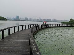 -长广溪湿地公园