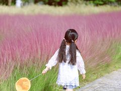 -柳鹭田园区